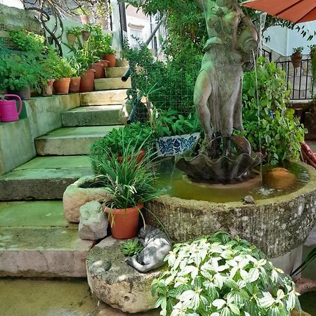 Гостьовий будинок Casa Paco Ель-Боске Екстер'єр фото